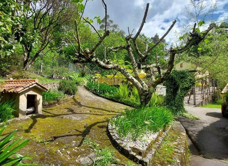 فندق صغير Watermill Moinho Garcia