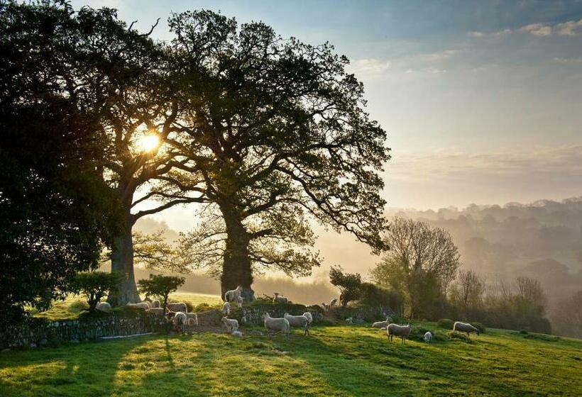 צימר Beera Farmhouse