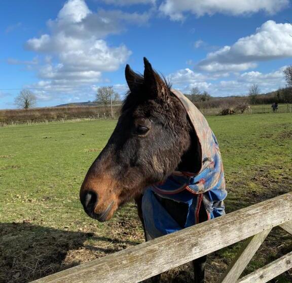 ベッドアンドブレックファースト Chadwell Hill Farm