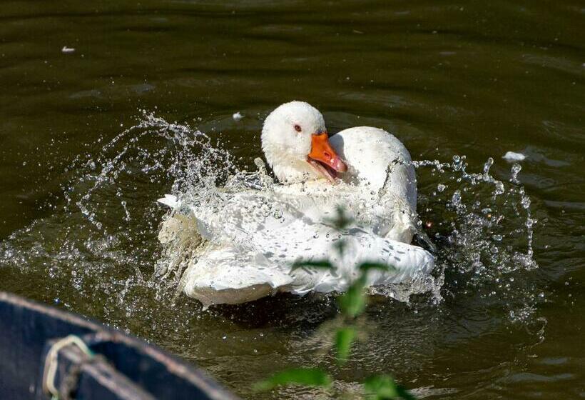 مبيت وإفطار Chateau Le Colombier
