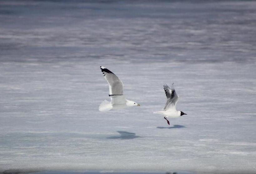 צימר Ekorregården