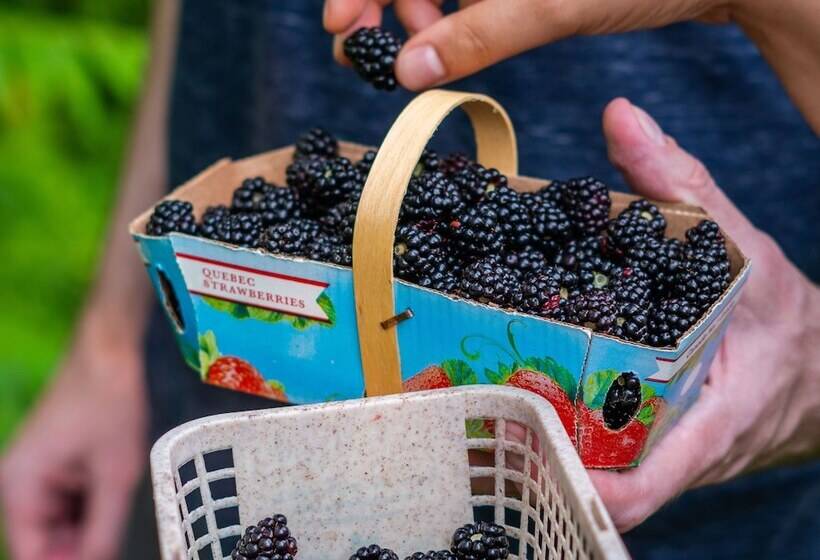 Gite O Bordeleau B&b