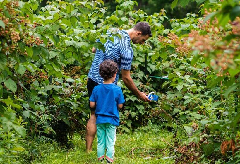 Gite O Bordeleau B&b