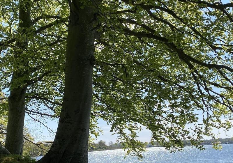 민박 Huset I Hejls