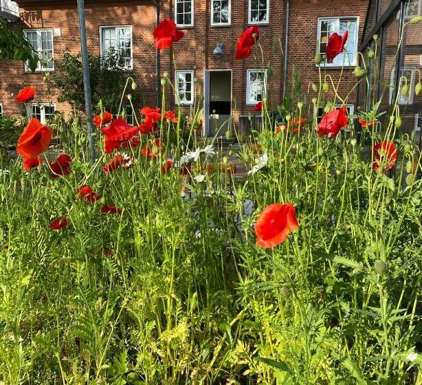 צימר Huset I Hejls