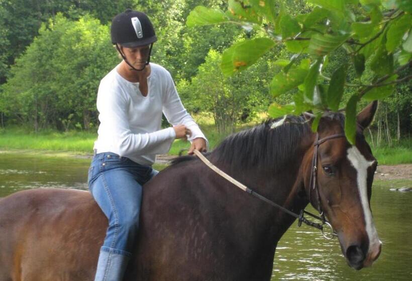 Bed and Breakfast Kynnefjällsnatur