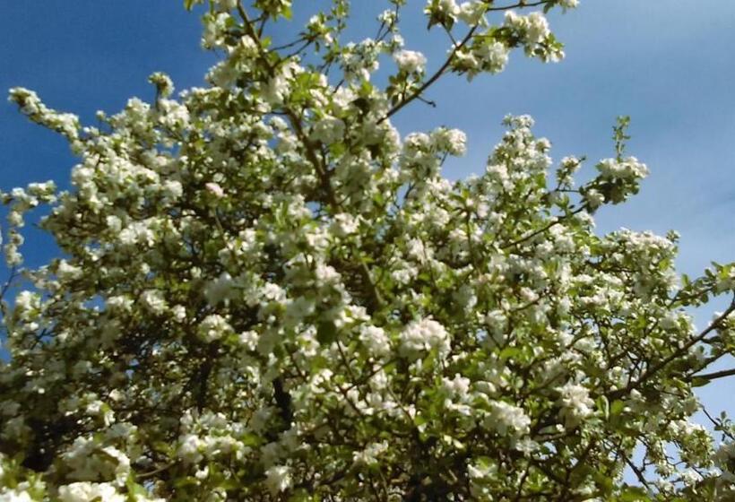 Bed and Breakfast La Boutique De Laurence