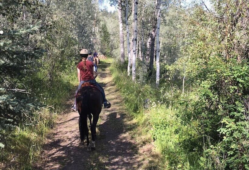 צימר Montana Hill Guest Ranch