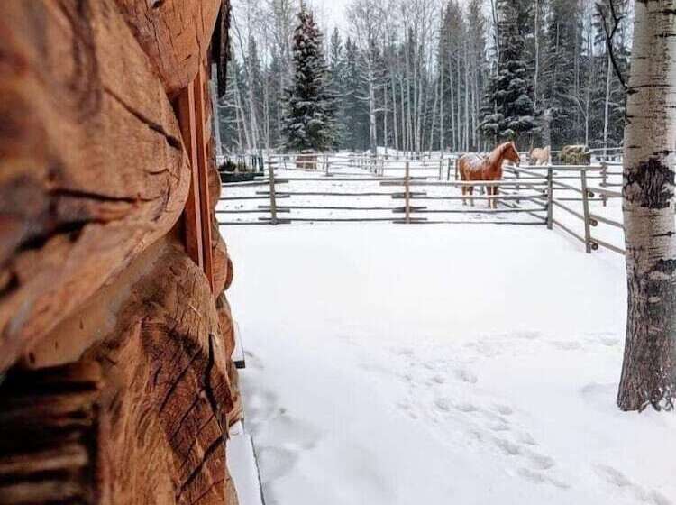 צימר Montana Hill Guest Ranch