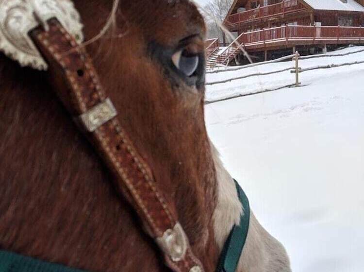 צימר Montana Hill Guest Ranch