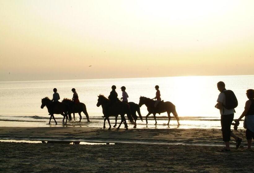 민박 Nordkap Farm Holiday & Hostel