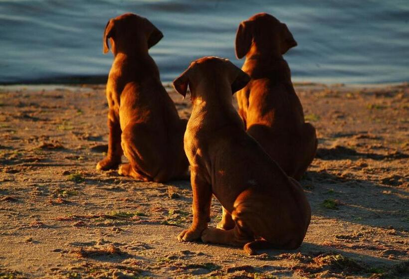 민박 Nordkap Farm Holiday & Hostel