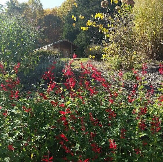 צימר Stone Manor Boutique Inn