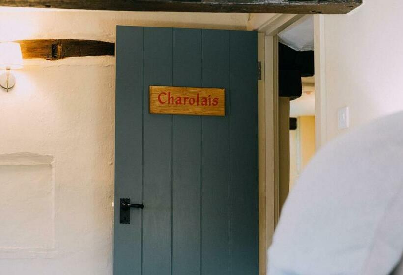 住宿加早餐  The Pointer