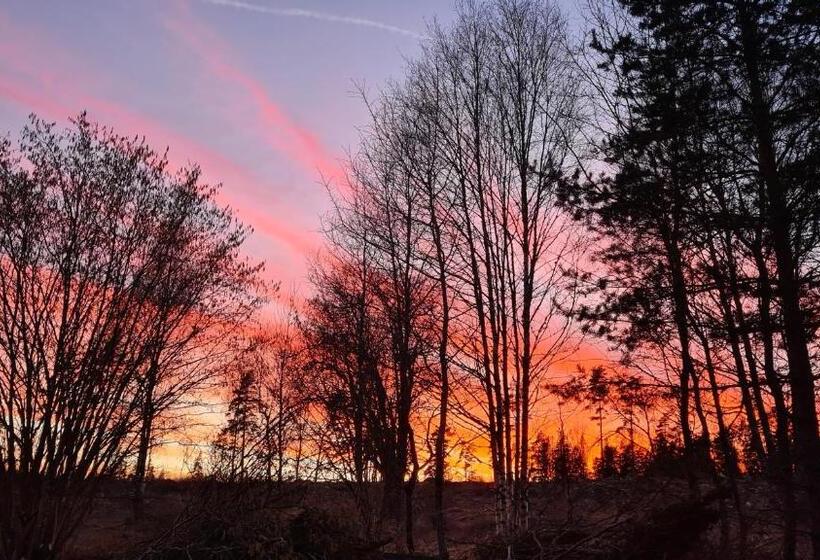 住宿加早餐  Villa Luna Breakfast