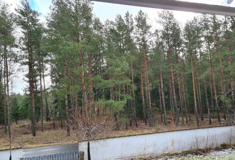 住宿加早餐  Villa Luna Breakfast