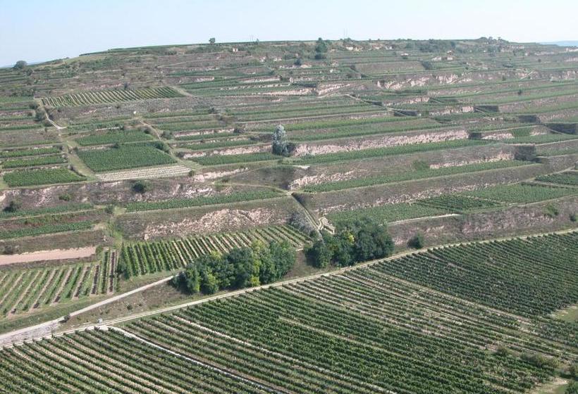 ベッドアンドブレックファースト Weingut Und Gästehaus Berger