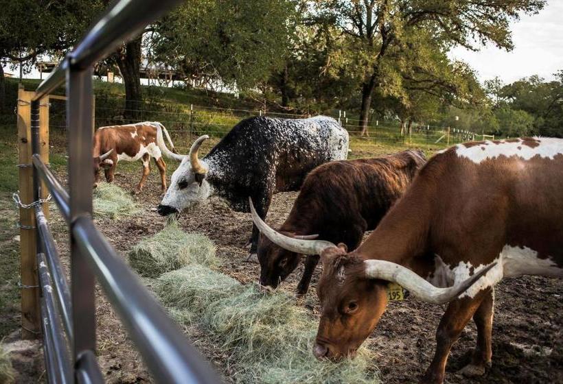 민박 Wild Arrow Ranch