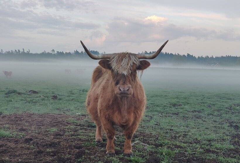 Charlottenlund Hotel & Restaurant