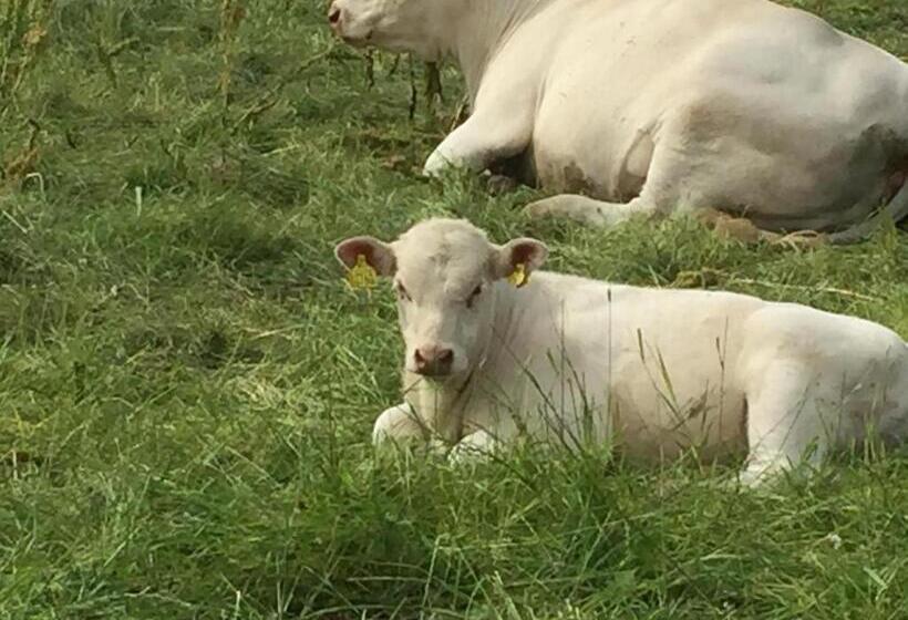 Enångers Bed And Breakfast