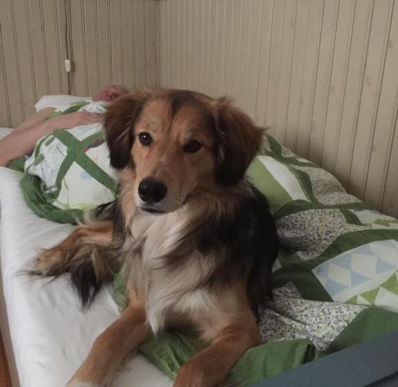 Enångers Bed And Breakfast