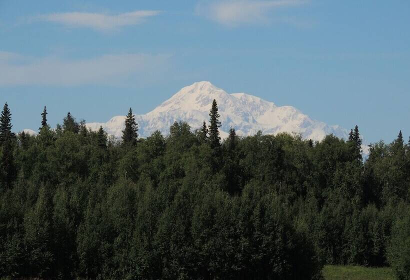 Falcon S Nest Bed & Breakfast