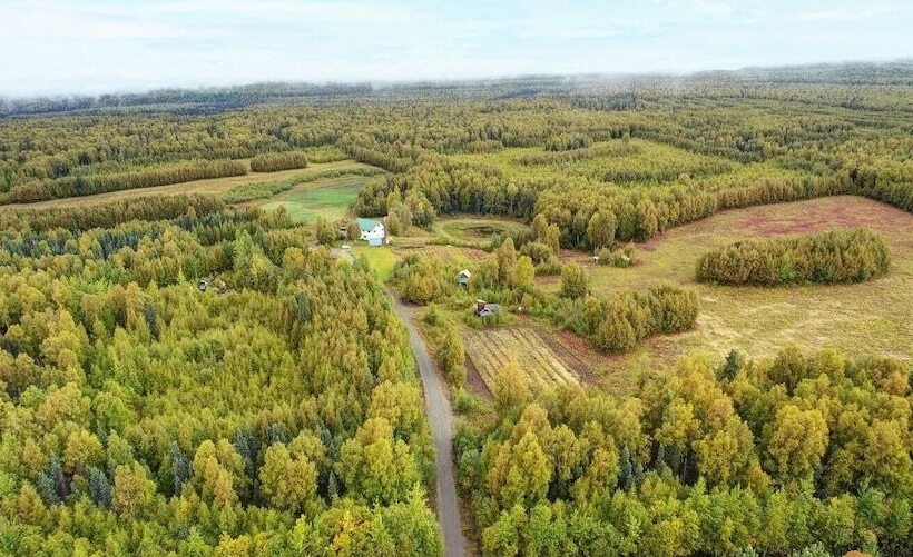 Falcon S Nest Bed & Breakfast