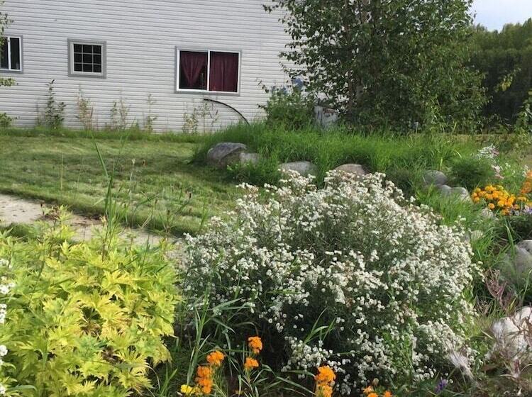 Falcon S Nest Bed & Breakfast