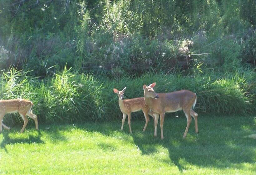 Fish Creek House Bed & Breakfast