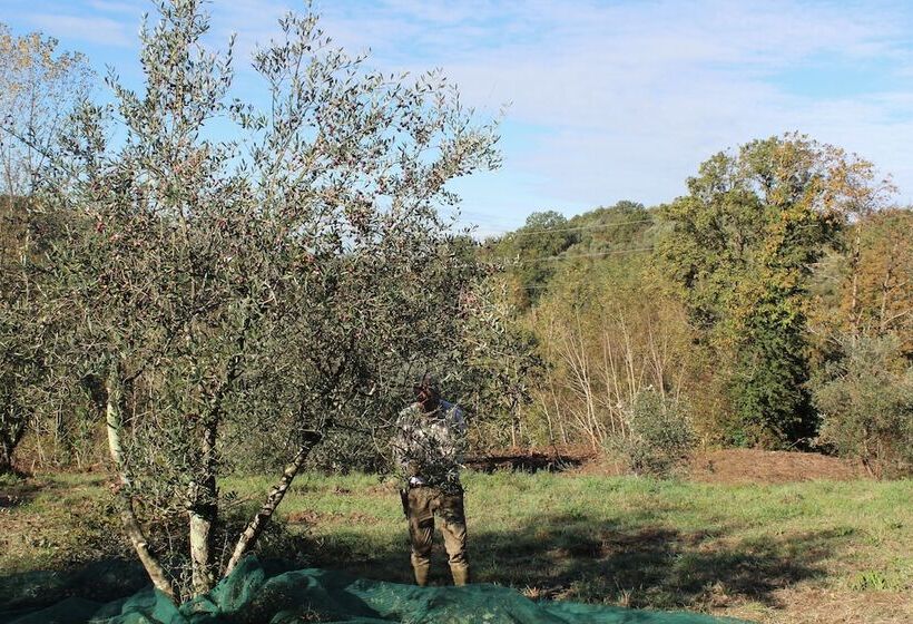 בית מלון כפרי Agriturismo Due Comuni