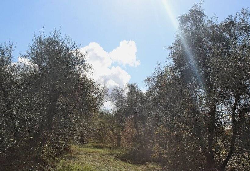 호텔 Agriturismo Due Comuni