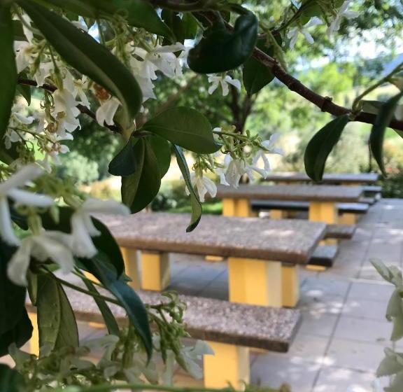 فندق Agriturismo Il Colore Del Grano