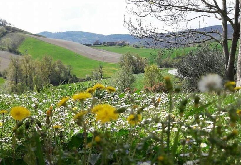 فندق Agriturismo Il Colore Del Grano