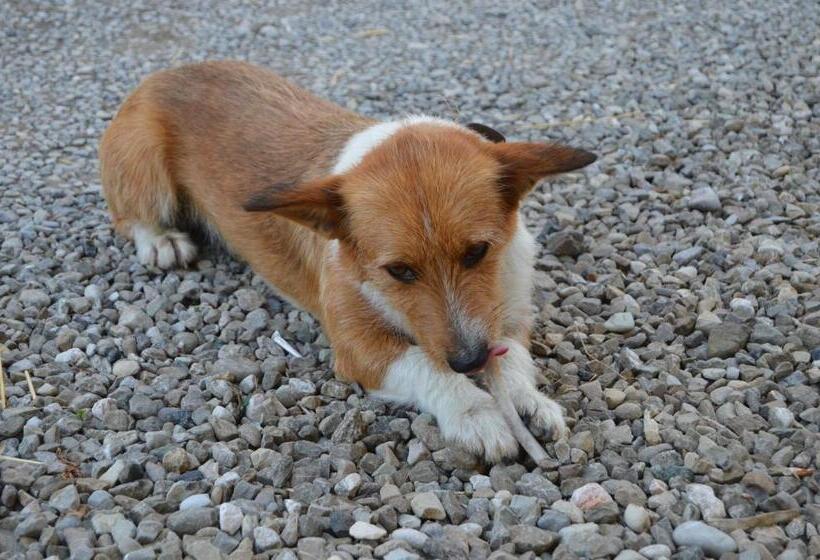 فندق Agriturismo Il Colore Del Grano
