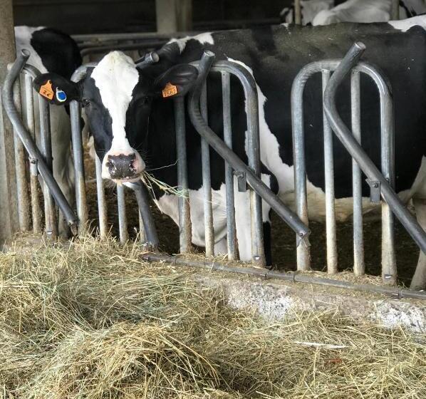 فندق Agriturismo Il Colore Del Grano