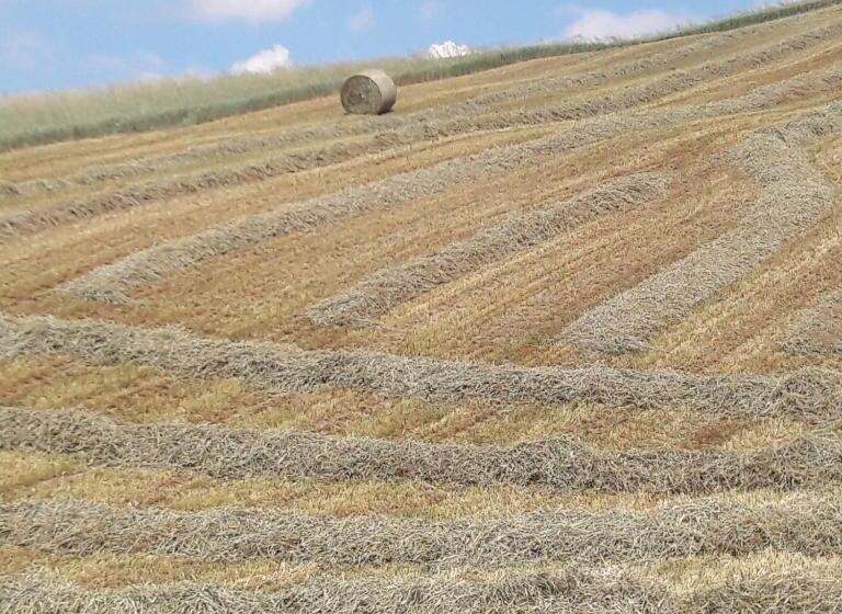 فندق Agriturismo Il Colore Del Grano