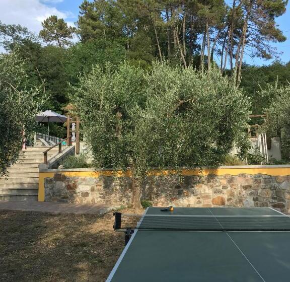 בית מלון כפרי Agriturismo Il Pino