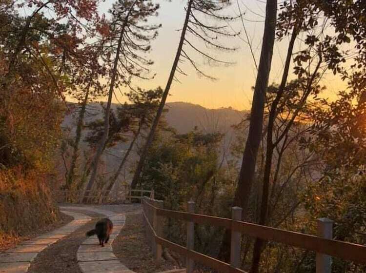 בית מלון כפרי Agriturismo Il Pino