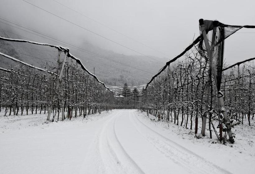 בית מלון כפרי Agriturismo La Casa Gialla
