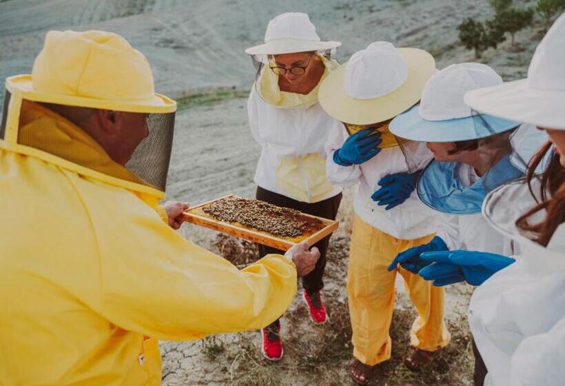 酒店 Agriturismo Pompilia