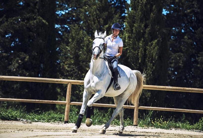 酒店 Agriturismo Pompilia