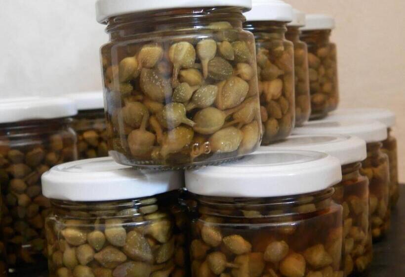 فندق Agriturismo Salento D'arare