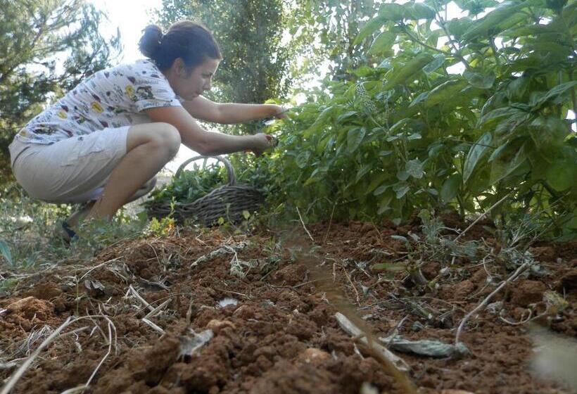 فندق Agriturismo Salento D'arare
