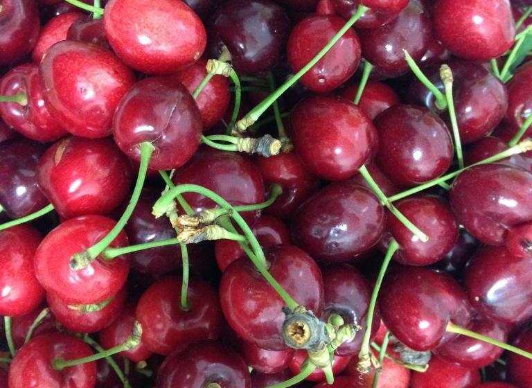 فندق Agriturismo Salento D'arare