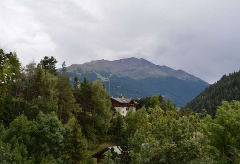 فندق Albergo Alpina