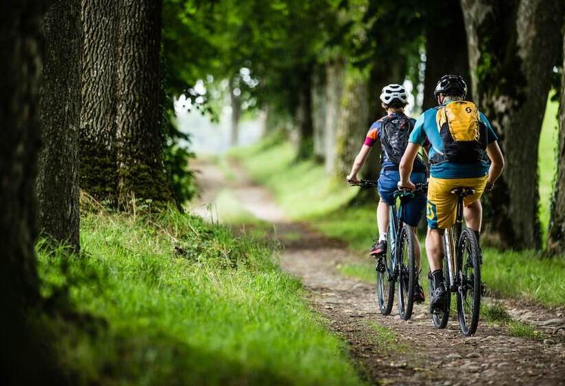 בית מלון כפרי Bjursas Skicenter & Camping