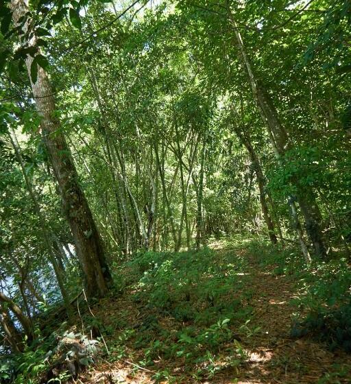 ホテル Campestre La Gaitana