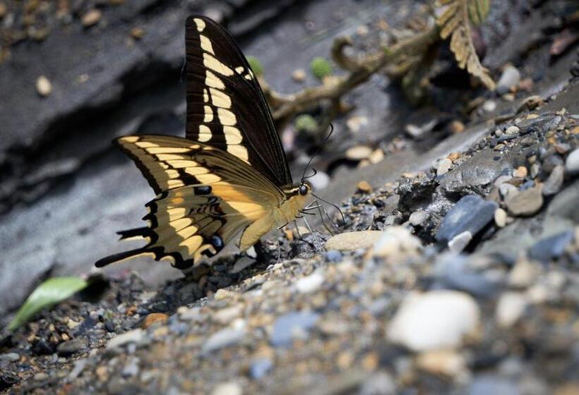 ホテル Campestre La Gaitana