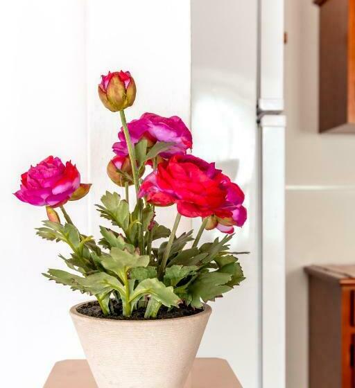 Отель Casa Do Tio Jose