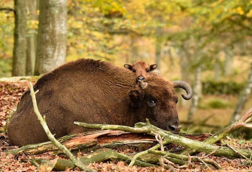 Eriksberg Hotel & Nature Reserve